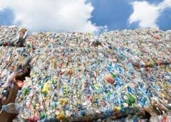 Thumbnail for Egypt to build 31 waste treatment and recycling plants by 2024 to combat climate change