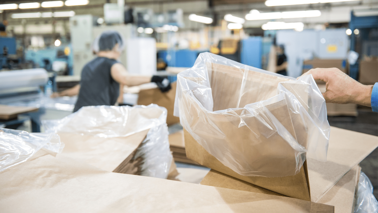 Thumbnail for Coleus Packaging expands operations with US$2.14M investment in metal crown manufacturing machine