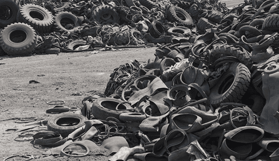 Thumbnail for MetPac-SA expand partnership with Phoenix for the Planet to strengthen community recycling