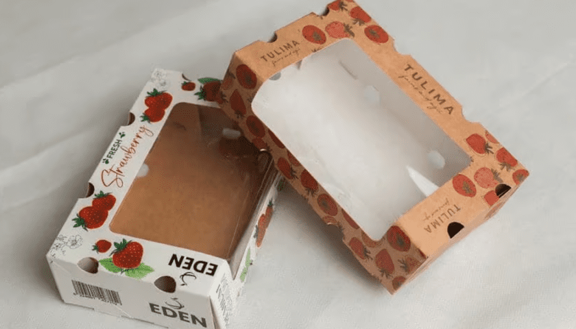 Thumbnail for FreshDeal: A pioneer in sustainable packaging for agricultural products