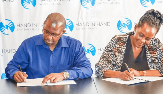 Thumbnail for MTN South Sudan leads e-waste fight as Malawi urges stronger policies