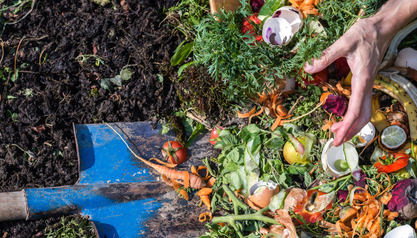 Thumbnail for Organic waste management market to reach US$37.7B by 2034 – Precedence Research