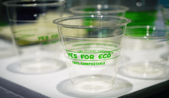 Thumbnail for NIT Rourkela researchers introduce eco-friendly intelligent packaging for seafood freshness