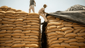 Legal showdown: Indian court to decide fate of sugar packaging standards