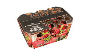 Xact Prepack, Frutmac launch sustainable cardboard packaging for UK market