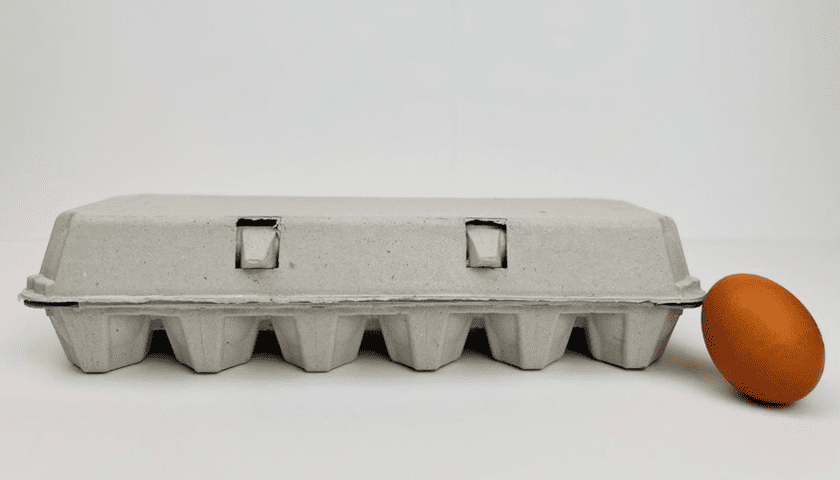 Thumbnail for Huhtamaki expands molded fiber footprint with US$18M acquisition of Zellwin Farms Company