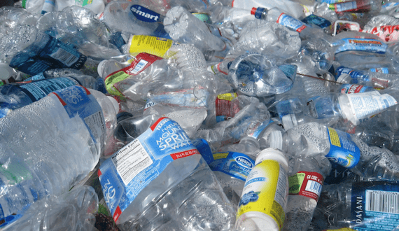 Thumbnail for Sappi Posts US$20M loss amid shutdowns, weak global demand