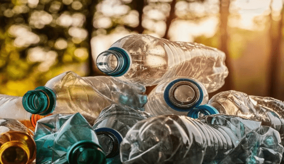 Thumbnail for APP Group, Continental Cup launches compostable cup range