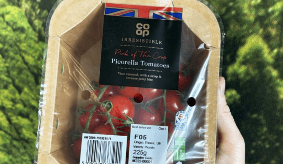 Thumbnail for Ecohelix secures grant for WOODMER Seal Biopolymer project in EU LIFE