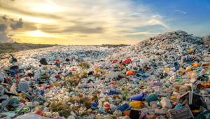 India advances plastic waste management with robust EPR enforcement