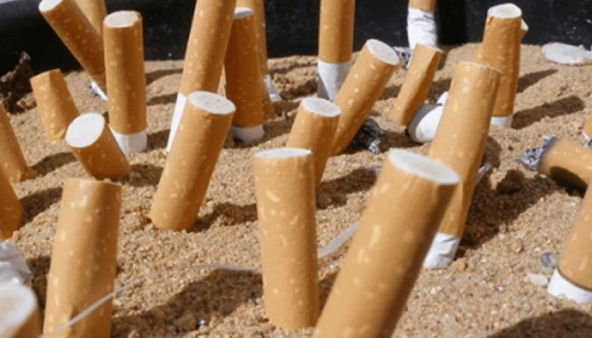 Thumbnail for Smurfit Westrock wins Irish government contract for tobacco traceability system