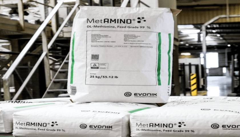 Thumbnail for Evonik unveils sustainable paper-based packaging for its MetAMINO product line
